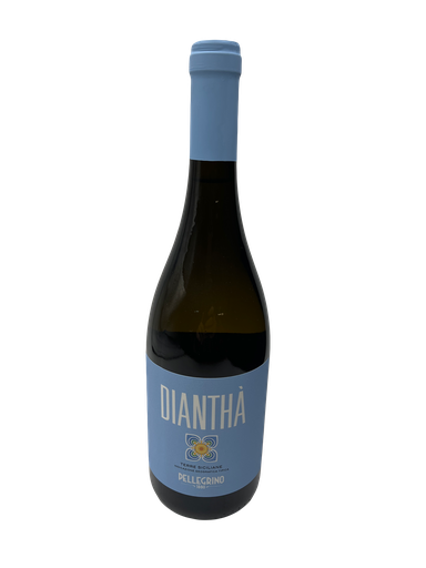 [220421791] Pellegrino - Diantha` bianco